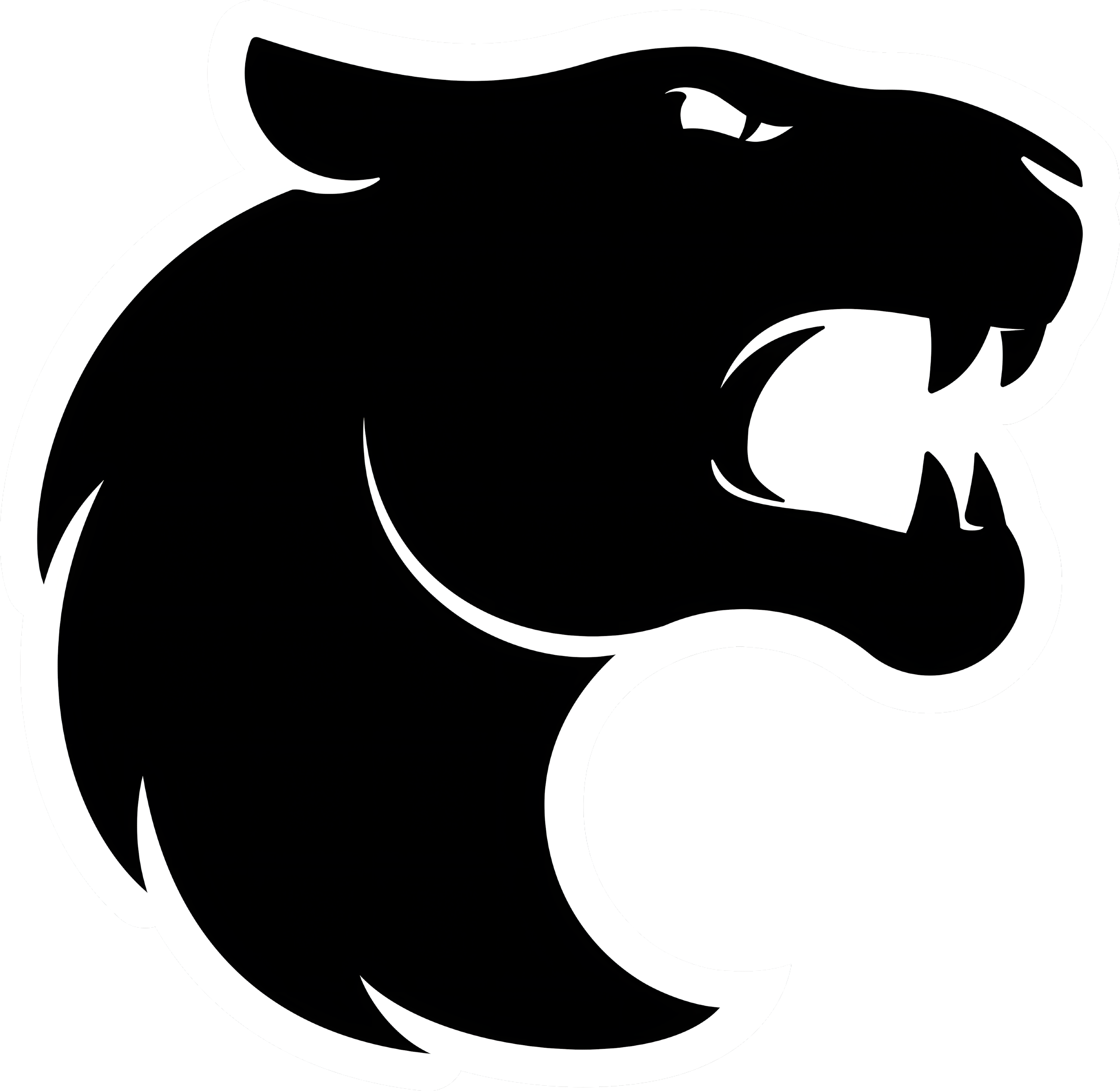 FURIA logo